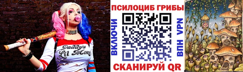 Псилоцибиновые грибы GOLDEN TEACHER купить сайты hydra как зайти Пыталово