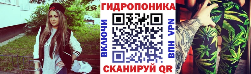 Бошки марихуана индика  Пыталово 